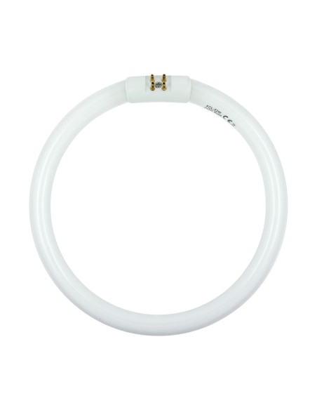 FLUORESCENTE PARA HRV-1206 HRV1206P01