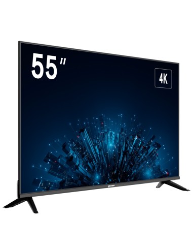 MONITOR 55" - RESOLUTION 4K - REFRESHMENT 60 HZ - CONTRAST 4000:1 - RESPONSE TIME 6,5 MS - SPEAKERS 2X10 W