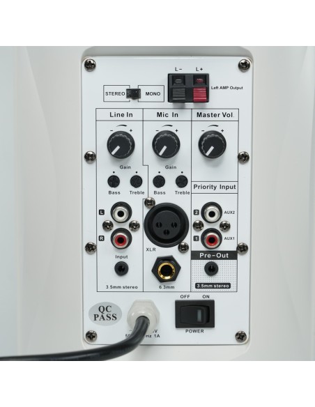 CEILING SPEAKER  - FULL RANGE SPEAKER 1X5" + 1X1" - POWER 2 X 30W - MULTIPLE INPUTS