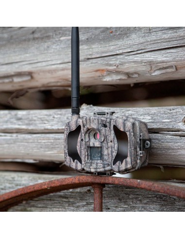 BOLYGUARD MG984G - CÁMARA FOTOTRAMPEO 4G - GPRS - RESOLUCIÓN 8 MEGAPIXEL (HASTA 36 INTERPOLADOS) - DETECTOR PIR | DETECCIÓN 30M