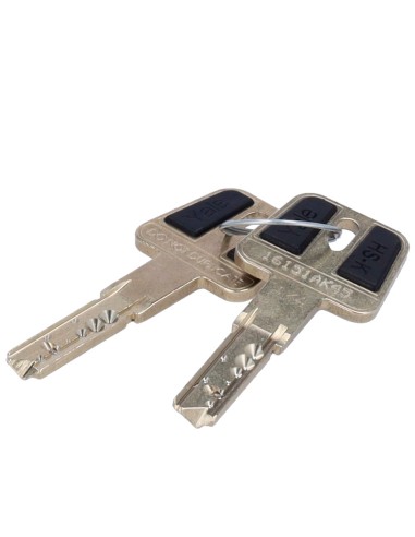 CILINDRO DE ALTA SEGURIDAD DOBLE EMBRAGUE - ANTI-BUMPING, GANZÚA, TALADRO Y ROTURA - APTO PARA YALE-LINUS-L2 - SISTEMA DE 7 PITO