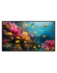 MONITEUR DE SIGNALISATION NUMÉRIQUE 50" - RÉSOLUTION 4K - LUMINOSITÉ 700 NITS - FONCTIONNENENT 24/7 - ANDROID 13 - HAUTS-PARLEU