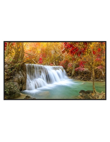 DIGITAL SIGNAGE MONITOR 55" - RESOLUTION 4K - BRIGHTNESS 500 NITS - 24/7 - ANDROID 13 - INTEGRATED SPEAKERS