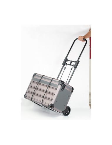 CARRITO PLEGABLE ROBUSTO CARGA MAX. 60KG HRV6619