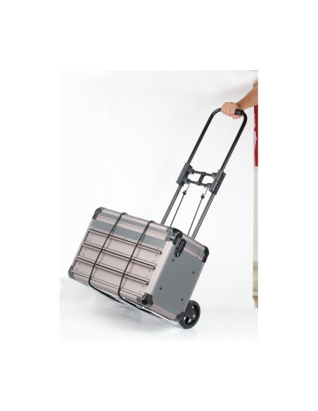 CARRITO PLEGABLE ROBUSTO CARGA MAX. 60KG HRV6619