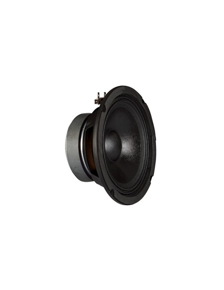 ALTAVOZ WOOFER FONESTAR FPW-100