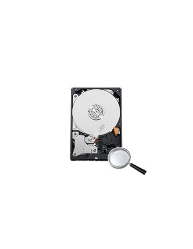 DISCO DURO WESTERN DIGITAL - CAPACIDAD 6 TB - INTERFAZ SATA HASTA 175 MB/S - MODELO WD64PURZ - ESPECIAL PARA VIDEOGRABADORES - H