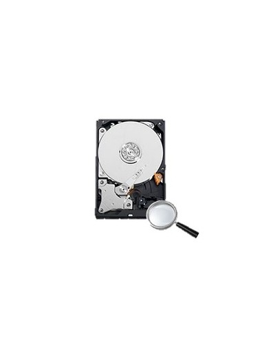 DISCO DURO WESTERN DIGITAL - CAPACIDAD 8 TB - INTERFAZ SATA HASTA 215 MB/S - MODELO WD85PURZ - ESPECIAL PARA VIDEOGRABADORES - H