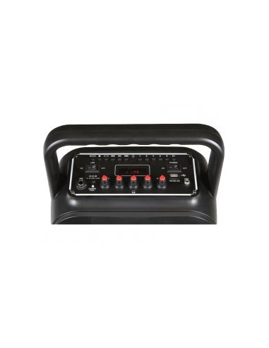 KARAOKÊ PARA FESTA COM ALTO-FALANTES PORTÁTEIS FONESTAR 020-ZM-ZM