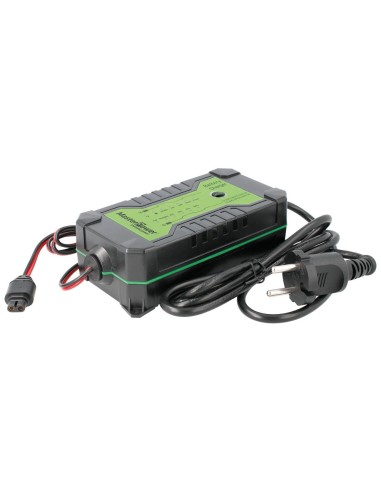 CARGADOR BATERÍAS 12V Y 24V PLOMO Y LIFE