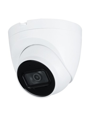 CÁMARA TURRET IP X-SECURITY - 2 MEGAPIXE