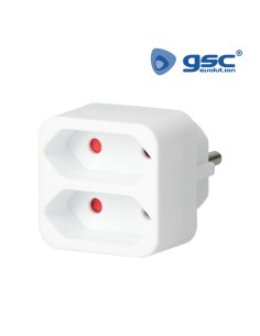 LADRON DOBLE SALIDA PLANO 2