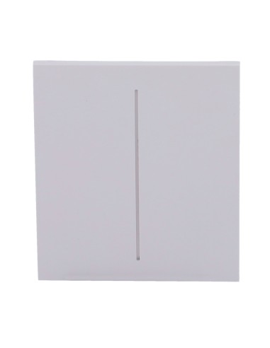 PANEL TÁCTIL PARA INTERRUPTOR DE LUZ DOBLE  - COMPATIBLE CON AJ-LIGHTCORE-2G - RETROILUMINACIÓN LED - PANEL TÁCTIL CENTRAL SIN C