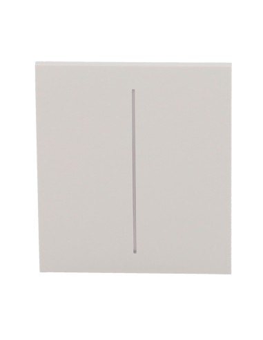 PANEL TÁCTIL PARA INTERRUPTOR DE LUZ DOBLE  - COMPATIBLE CON AJ-LIGHTCORE-2G - RETROILUMINACIÓN LED - PANEL TÁCTIL CENTRAL SIN C