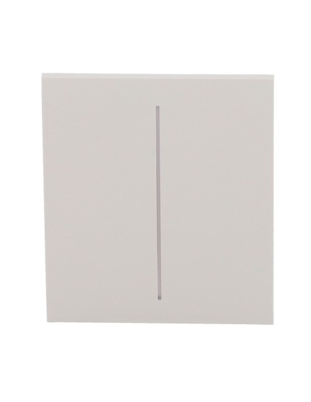 PANEL TÁCTIL PARA INTERRUPTOR DE LUZ DOBLE  - COMPATIBLE CON AJ-LIGHTCORE-2G - RETROILUMINACIÓN LED - PANEL TÁCTIL CENTRAL SIN C