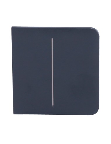 PANEL TÁCTIL PARA INTERRUPTOR DE LUZ DOBLE - COMPATIBLE CON AJ-LIGHTCORE-2G - RETROILUMINACIÓN LED - PANEL TÁCTIL LATERAL SIN CO