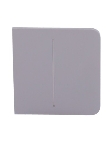 PANEL TÁCTIL PARA INTERRUPTOR DE LUZ DOBLE - COMPATIBLE CON AJ-LIGHTCORE-2G - RETROILUMINACIÓN LED - PANEL TÁCTIL LATERAL SIN CO