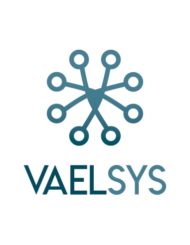 LICENCIA DE AMPLIACIÓN DE BASE DE DATOS LPR PARA HASTA 500 MATRÍCULAS VAELSYS LP-DB-500