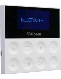 WAND-STEREO-VERSTÄRKER FONESTAR 020-ZM-ZM 2