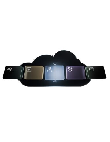 SUSCRIPCIÓN MENSUAL PARA AJAX CLOUD STORAGE  - PLAN ECONOMY 7 DAYS - 1 DISPOSITIVO - 7 DÍAS DE ALMACENAMIENTO DE VÍDEO (600 MINU