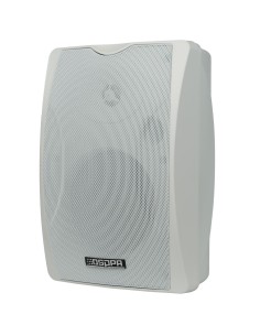 CEILING SPEAKER  - FULL RANGE SPEAKER 1X5" + 1X1" - POWER 2 X 30W - MULTIPLE INPUTS