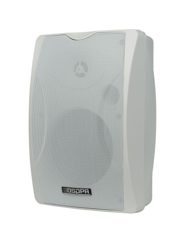 CEILING SPEAKER  - FULL RANGE SPEAKER 1X5" + 1X1" - POWER 2 X 30W - MULTIPLE INPUTS
