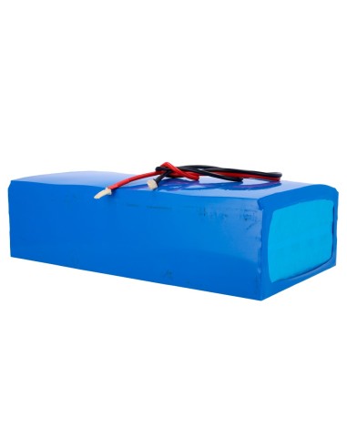 PILE AU LITHIUM DE HAUTE CAPACITÉ - TENSION 48 V - COURANT 100 A - RÉGULATEUR MPPT INTÉGRÉ - COMPATIBLE AVEC LES ARMOIRES ÉLECT